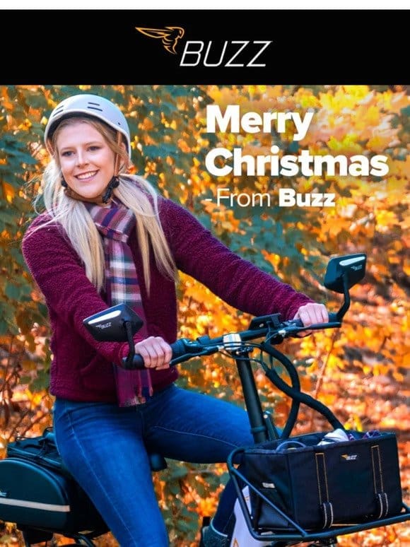 Merry Christmas from Buzz