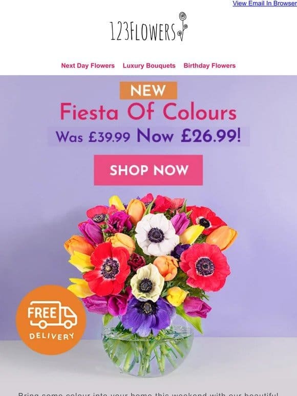 NEW! Fiesta Of Colours!