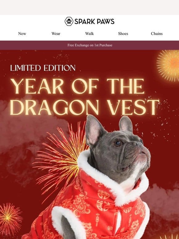 NEW: Limited Edition Year of the Dragon Vest