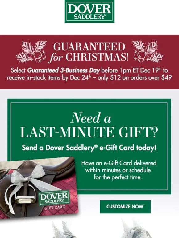 Need a Last-Minute Gift? Send an e-Gift Card Today!