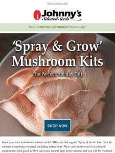 New! Mushroom Kits