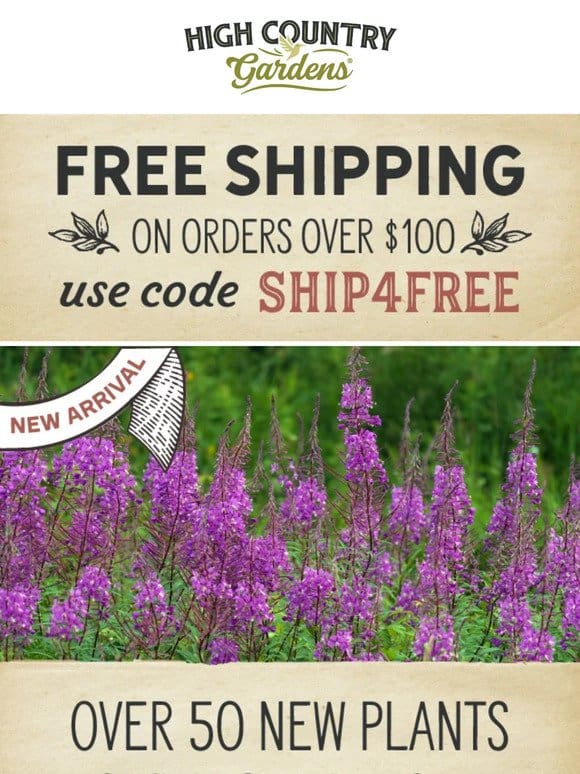 New Plants & Free Shipping