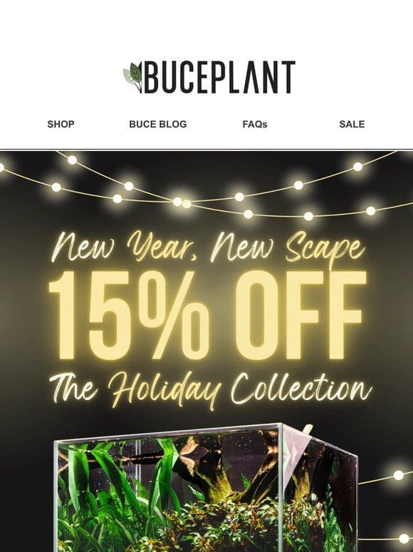 New Year Deal: 15% OFF Your Next Tank