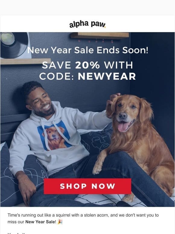 New Year Sale Ends Soon!