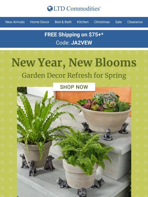 New Year， New Blooms: Garden Decor Refresh for 2024