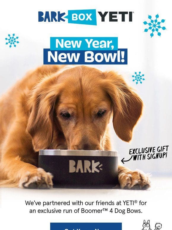 New Year， New Bowl!