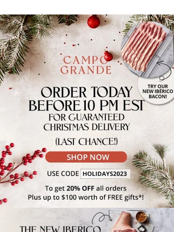 Order TODAY before 10 PM EST for guaranteed Christmas delivery!