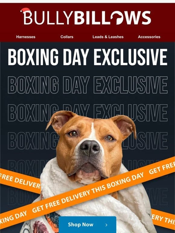 Our Boxing Day Exclusive Offer!