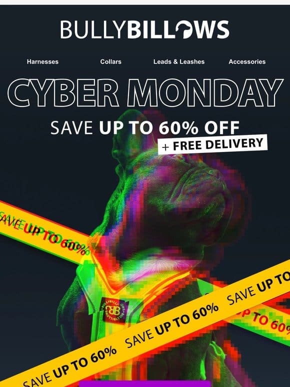 Our Exclusive Cyber Monday Offer Is Here!