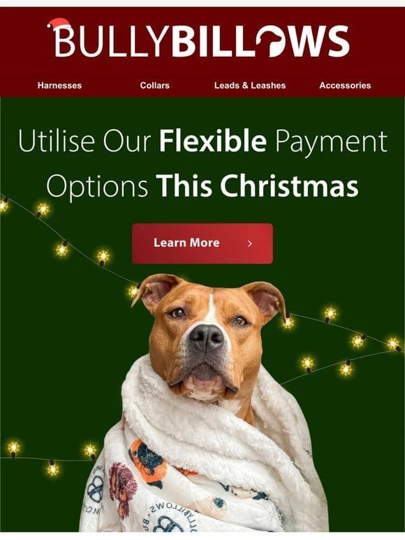 Our Flexible Payment Options This Christmas