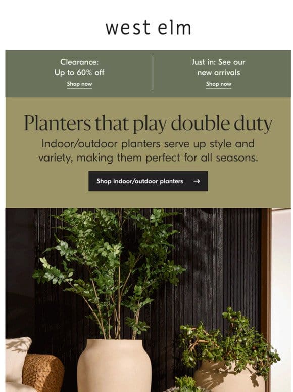 Our most versatile planters are here