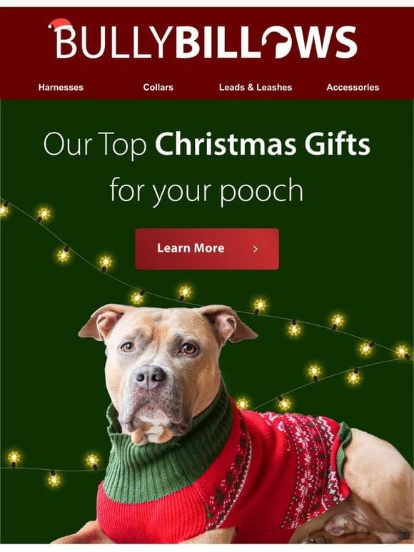 Perfect Christmas Presents For Your Pup..