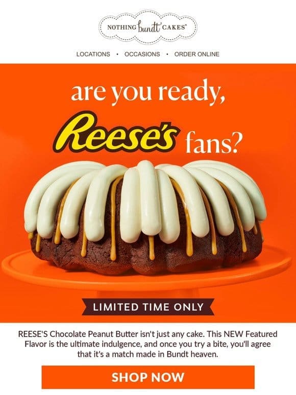 REESE’S Chocolate Peanut Butter is Now Baking!