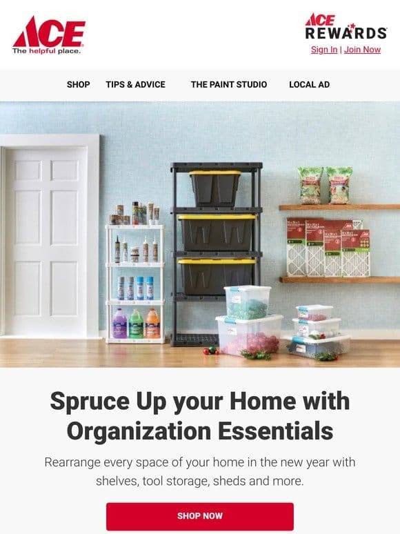 Resolution to Get Organized? Ace Can Help