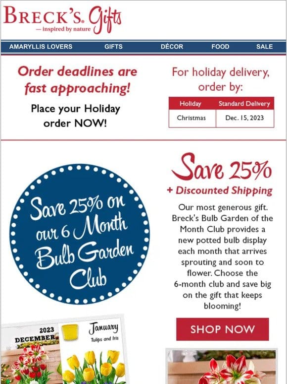 Save 25% on our 6-month bulb club