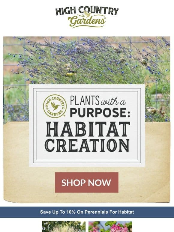 Save Up To 10% On Perennials For Habitat