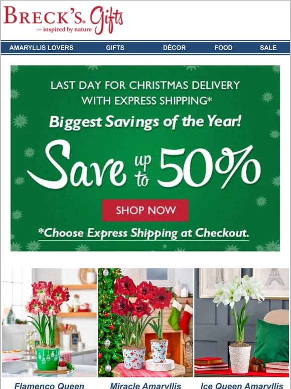 Save up to 50% on Last-Minute Gifts