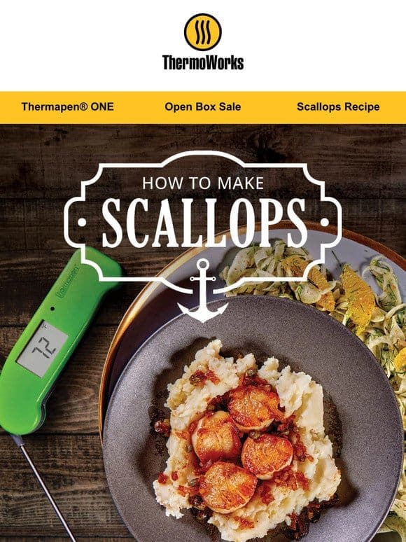 Scallop Recipe + Open Box Sale Ending Soon