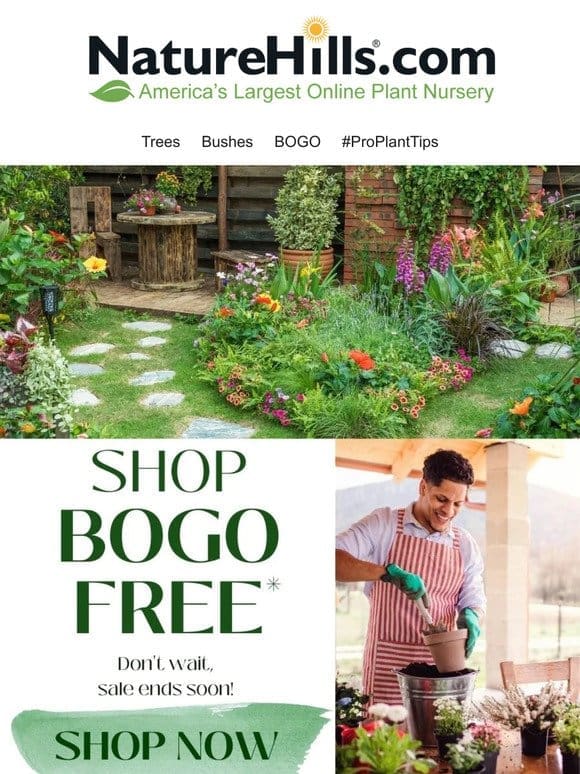 Shop BOGO plants before the year ends!
