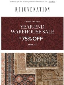 Shop our latest handcrafted rug arrivals—plus， save big during our last sale of the year