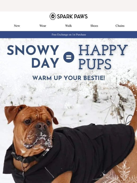 Snowday = Happy Pups! ☃️