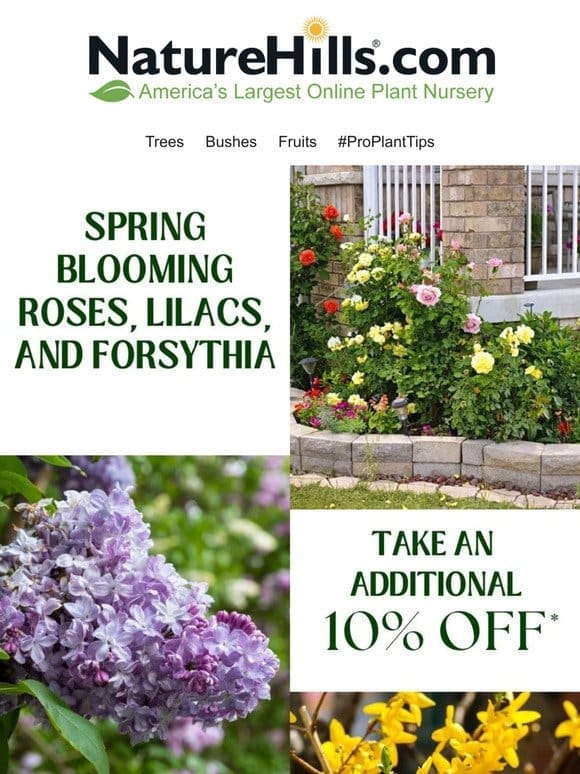 Take an extra 10% off these spring blooming favorites…