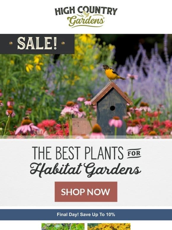 The Best Plants For Habitat Gardens