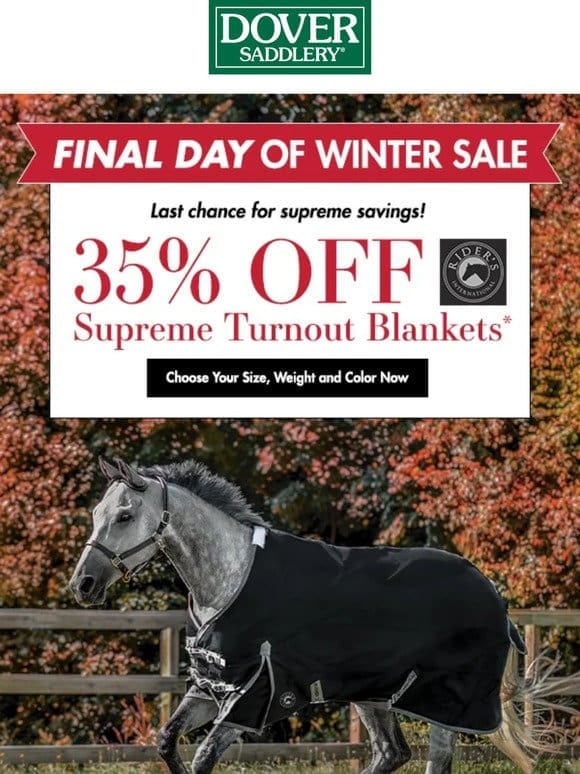 The Final Day to Shop Our Winter Sale is Here!
