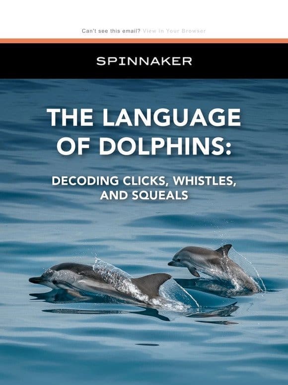 The Language of Dolphins  ✨
