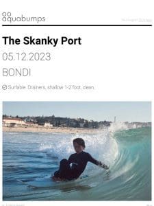 : : The Skanky Port