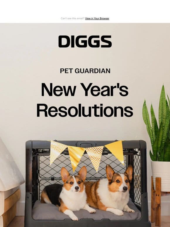 The Ultimate Pet Guardian New Year’s Resolution Guide