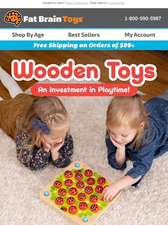 The Wooden Toys Everyone Loves!