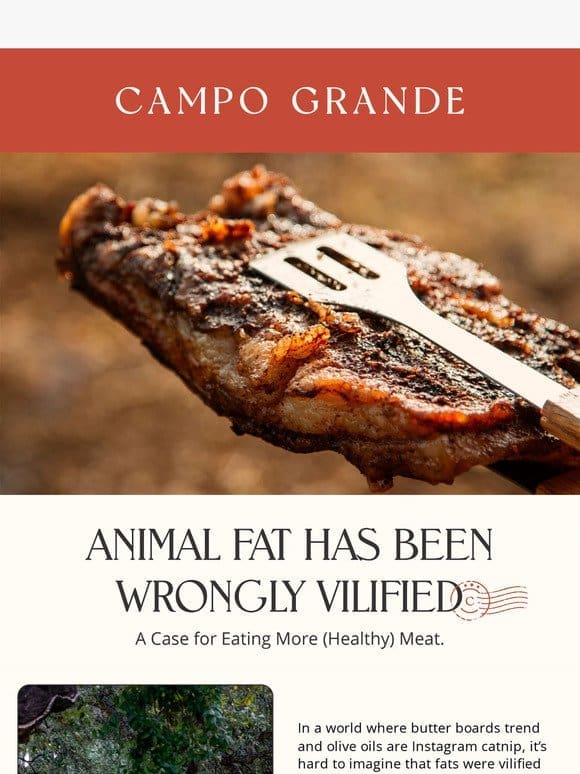 The truth about animal FATS