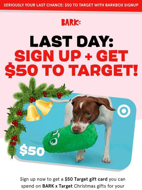 There’s still time for your pup to make your nice list!