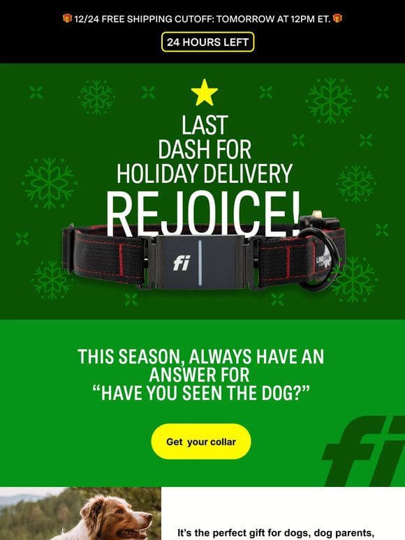 Tracking: Fi Delivery by 12/24