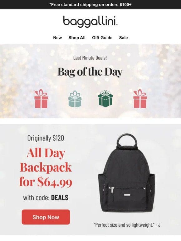 Travel Hands-Free—$64.99 All Day Backpack