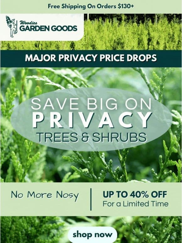 Up To 40% OFF Privacy Trees & Shrubs