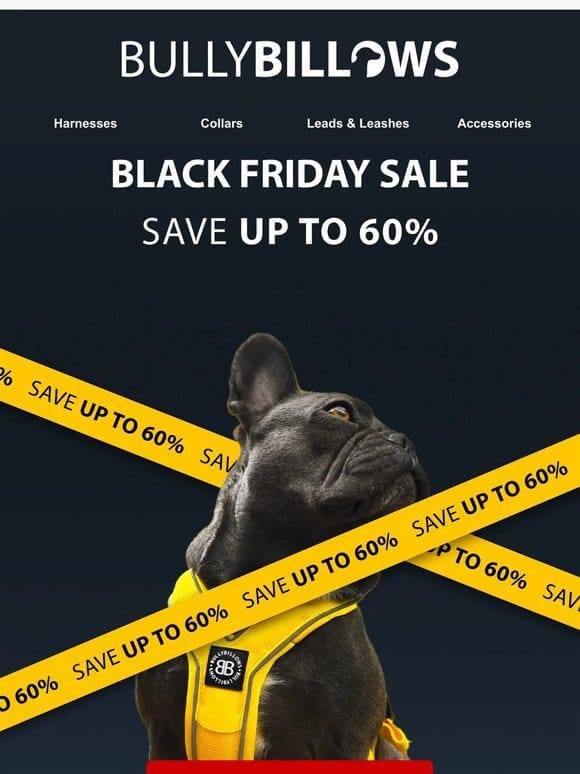 Up To 60% OFF Black Friday Sale!