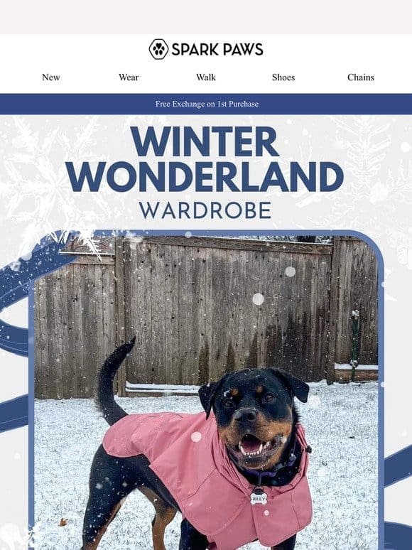 Wardrobe for Winter Wonderland ❄️