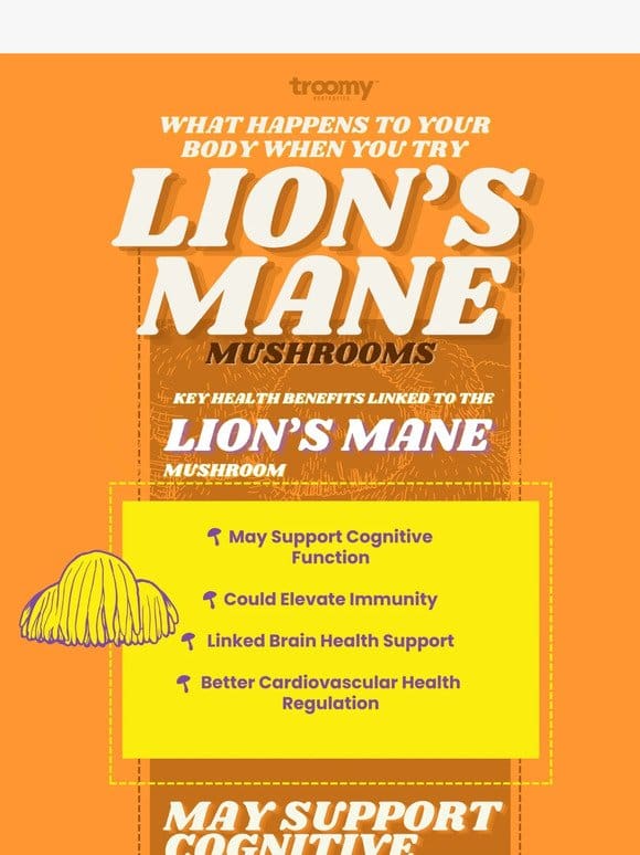 What Happens When You Try Lion’s Mane Mushrooms?