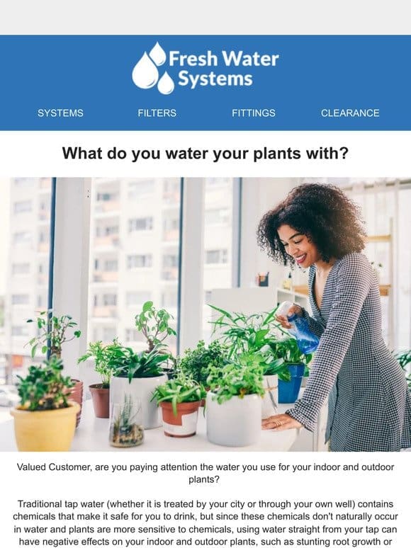 What are you watering your plants with?