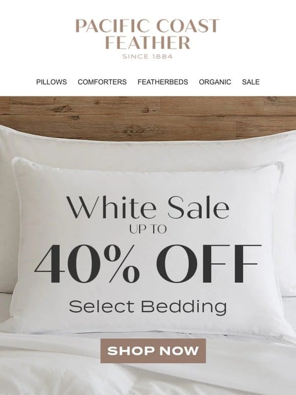 White Sale Pillows Are Up to 40% OFF