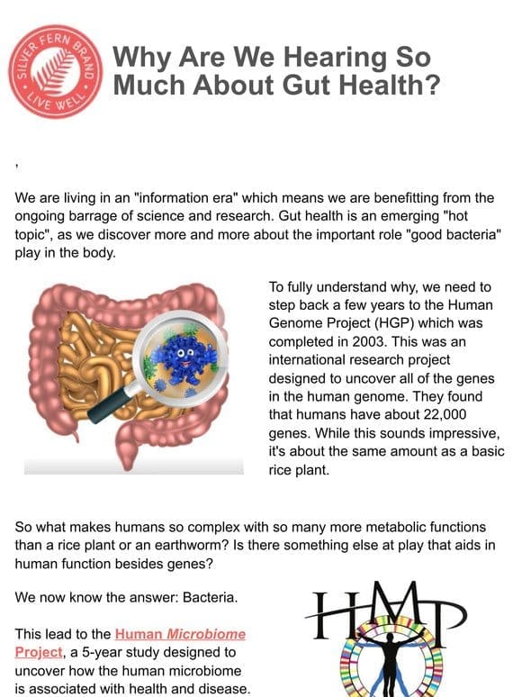 Why Are We Hearing So Much About Gut Health Lately?