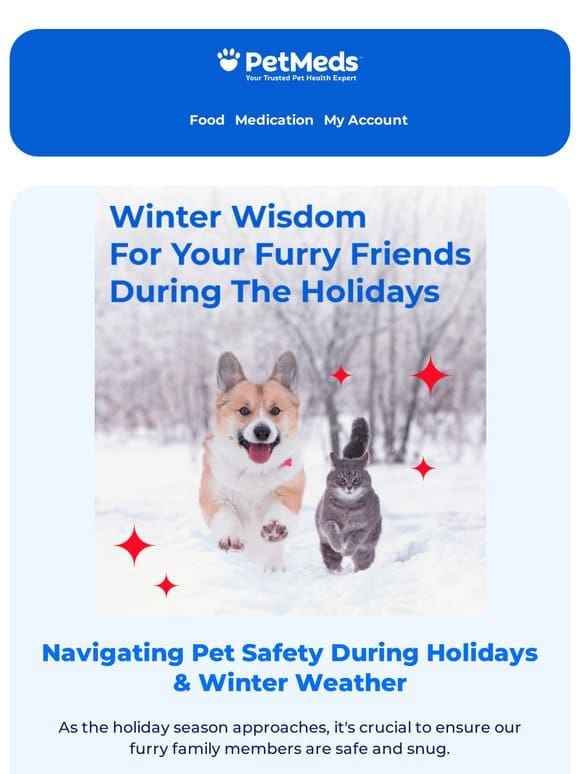Winter Ready: Safeguard Your Pet in Festive and Frosty Times!