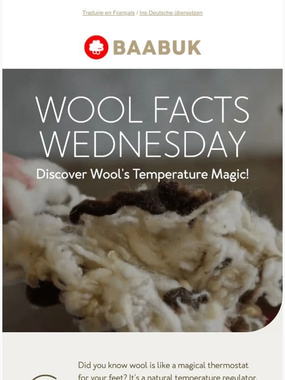 Wool: nature’s perfect temperature hack