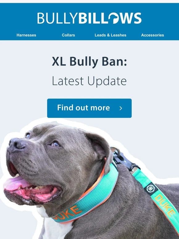 XL Bully Ban: Latest Update & Next Steps