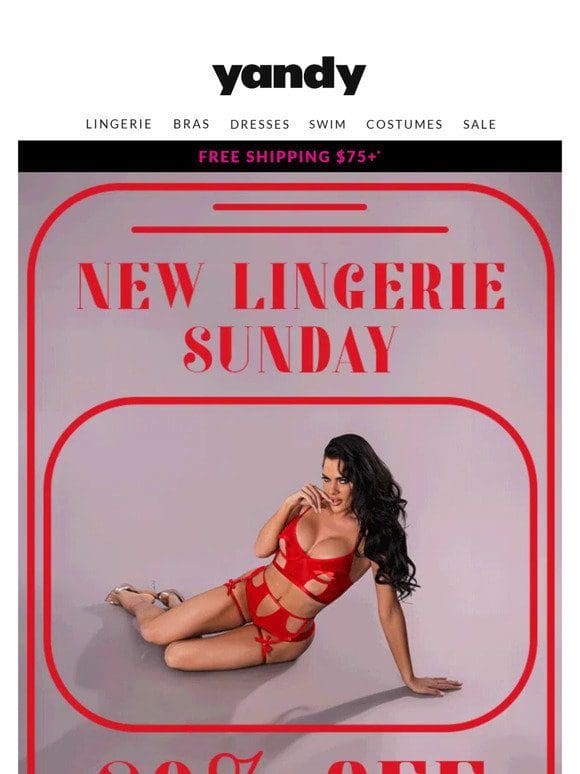 You Need New Lingerie   Plus 20% Off