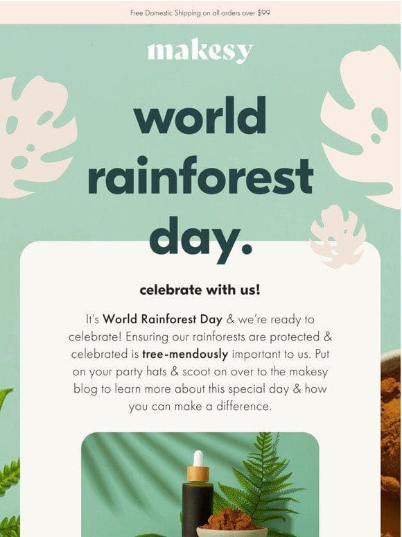 happy world rainforest day!