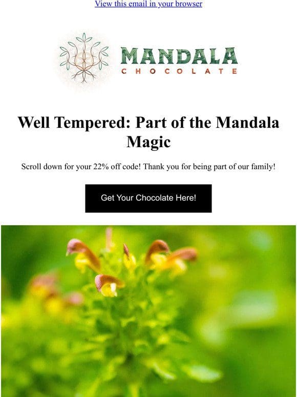 tales from the Mandalaverse : The Magic of Tempering (plus a discount for you!)