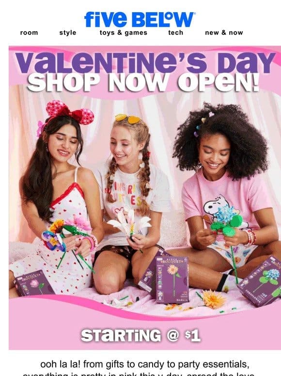 welcome to the valentine’s day shop